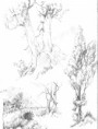 /album/el-paisaje-natural-/paisaje-natural11-jpg/